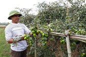 Giải pháp tin cậy để phát hiện hàng giả Giải pháp tin cậy để phát hiện hàng giả