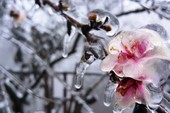Chuyện đời đáng nhớ của 1 công trình kỷ lục Chuyện đời đáng nhớ của 1 công trình kỷ lục