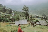 Sa Pa mùa lúa chín đẹp 'hút hồn' bao du khách Sa Pa mùa lúa chín đẹp 'hút hồn' bao du khách