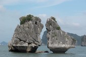 Quảng Ninh: 9 tháng đầu năm đón hơn 10 triệu lượt khách Quảng Ninh: 9 tháng đầu năm đón hơn 10 triệu lượt khách