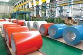 Chặn tôn ngoại 'mượn' VN trốn thuế tái xuất sang Campuchia Chặn tôn ngoại 'mượn' VN trốn thuế tái xuất sang Campuchia