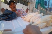 Cảnh báo chất lượng gà không đầu rẻ bèo bán vỉa hè Cảnh báo chất lượng gà không đầu rẻ bèo bán vỉa hè