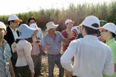 Doanh nhân Việt đầu tư ra nước ngoài: Khó ở đâu? Doanh nhân Việt đầu tư ra nước ngoài: Khó ở đâu?
