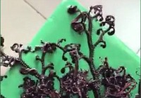 Báo Anh sửng sốt với sinh vật biển lạ ở Kiên Giang