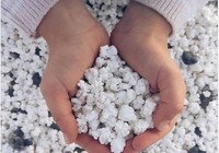 Kỳ lạ bãi biển chứa đầy bỏng ngô