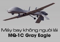 Mỹ bất ngờ điều hàng loạt 'Đại bàng xám' tại Đông Nam Á