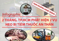 2 tháng, TP.HCM phát hiện 2 vụ heo tiêm thuốc an thần