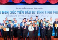 Bình Phước thu hút đầu tư hơn 1 tỉ USD
