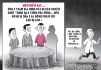 Kháng nghị hủy án vụ thuê người chặt phá rừng