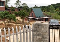 Rừng Sóc Sơn bị băm nát làm biệt thự, khu nghỉ dưỡng