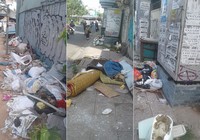 Vỉa hè đường Hoàng Sa quá bẩn