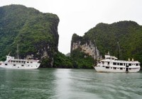 Bão số 4: Quảng Ninh cấm tàu nghỉ đêm xuất bến