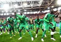 Sư tử Senegal lại đánh gãy cánh đại bàng trắng Ba Lan