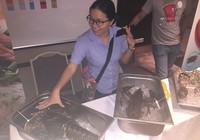 Cua hoàng đế Mỹ sẽ 'tấn công' thị trường Việt