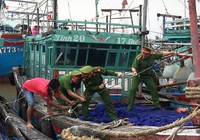 Thanh Hóa căng mình chống bão Sơn Tinh
