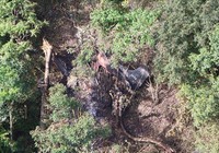 Máy bay quân sự Thái Lan rơi, 3 sĩ quan thiệt mạng