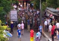 Đông nghẹt khán giả đội mưa xem chọi trâu Đồ Sơn
