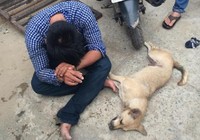 Trộm được con chó mất luôn cả mạng