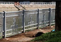 Thi thể trôi kênh Tàu Hủ, cần thủ vất đồ bỏ chạy