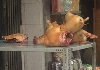 Rủi ro khi ăn phải thịt chó dại
