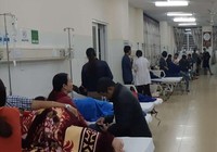 Ngộ độc thực phẩm do ăn bánh mì nhiễm khuẩn Salmonella