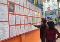 Nhu cầu việc làm Tết tăng cao, thu nhập 300.000 đồng/ngày