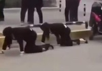 Buộc nhân viên bò trên phố vì không đạt chỉ tiêu bán hàng
