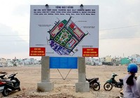 Đã chi hơn 23 tỷ đồng hỗ trợ dân vườn rau phường 6, Tân Bình
