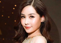 Vụ hoa hậu Ngân Anh khởi kiện: Được gì, mất gì?