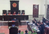 Vụ BS Lương: Tòa bác chứng cứ đầu độc, VKS đề nghị xử luật sư