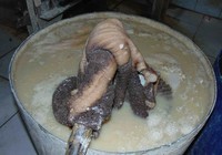 “Hô biến” sách bò đen thui thành trắng toát