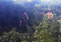 Phát hiện thi thể cô bé 14 tuổi nghi bị hiếp dâm
