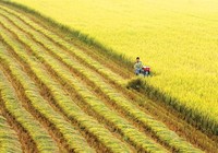 'Hội nghị Diên Hồng ĐBSCL' bàn nhiều vấn đề thiết yếu