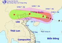 Họp khẩn về bão Hato
