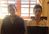Trộm bò làm thịt vì... thèm ăn lòng bò, uống rượu