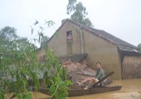 Hơn 660 gia đình ở Hà Tĩnh được hỗ trợ làm nhà tránh lũ