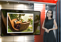 Bạn sẽ ngạc nhiên với tuyệt tác từ hạt bơ