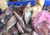 Ăn sạch - Sống khỏe: Đi tìm thực phẩm sạch đích thực