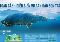 Vì sao thanh tra toàn diện các dự án Sơn Trà?