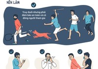 Gặp kẻ trộm chó, bạn nên làm gì để không vướng lao lý?