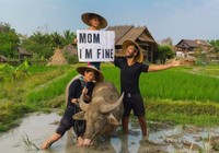 Chàng trai “nổi như cồn” vì tin nhắn độc đáo