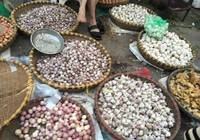 Những cảnh báo đáng sợ từ tỏi Trung Quốc