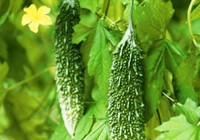 7 loại cây phổ biến vừa ăn vừa có tác dụng chữa bệnh
