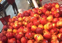 Tem trái cây 'thời loạn'