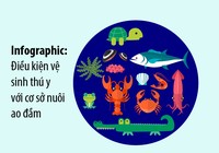 Tiêu chí cơ sở nuôi trồng thủy sản đạt chuẩn sạch