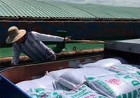 Bắt giữ 5 tàu chở 1000 tấn phân bón không rõ nguồn gốc
