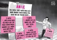 Cần hủy án lệ Việt kiều nhờ đứng tên mua đất