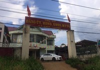 Cách chức chủ tịch xã xài bằng cấp 3 giả