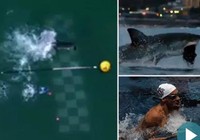 Kết quả cuộc đua độc nhất vô nhị giữa Phelps và cá mập