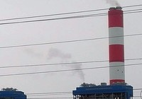 'Nguyên nhân hải sản chết tại Vĩnh Tân do mưa lớn'